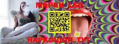 прущие грибы Будённовск
