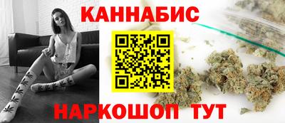 прущие грибы Будённовск
