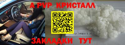 прущие грибы Будённовск