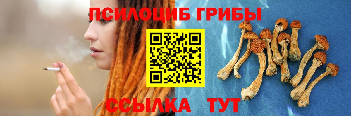 Псилоцибиновые грибы Magic Shrooms Мелеуз
